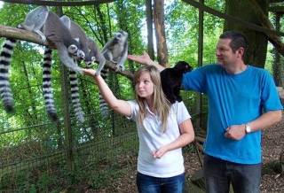 Sea una experiencia de cuidador de zoológico 